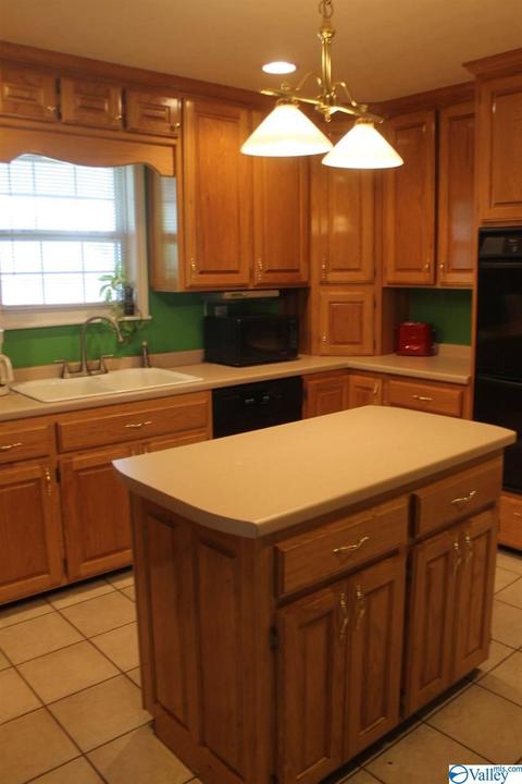 360 County Road 18, Dutton, AL 35744 photo 18