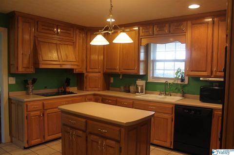 360 County Road 18, Dutton, AL 35744 photo 16