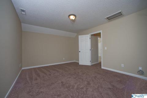 630 John Sutton Rd, Grant, AL 35747 photo 39