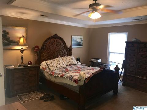78 Sims St, Trinity, AL 35673 photo 7