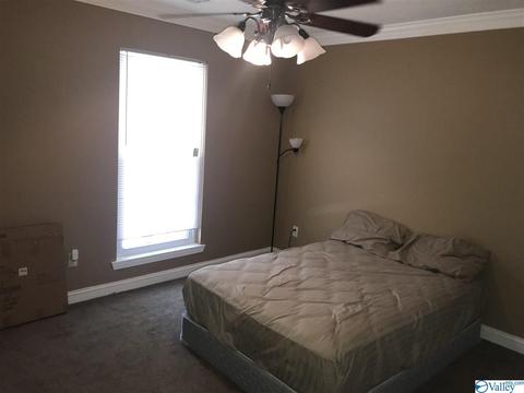 78 Sims St, Trinity, AL 35673 photo 12
