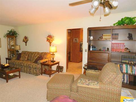 208 Mountain View Dr, Centre, AL 35960 photo 22