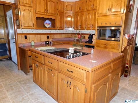 208 Mountain View Dr, Centre, AL 35960 photo 17