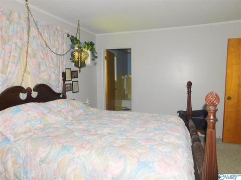 208 Mountain View Dr, Centre, AL 35960 photo 10