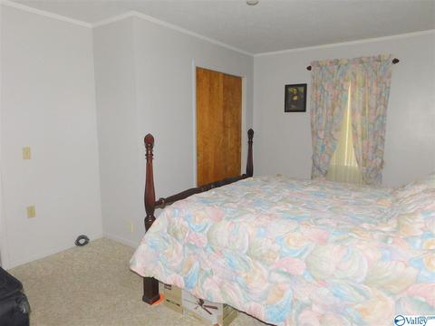 208 Mountain View Dr, Centre, AL 35960 photo 7