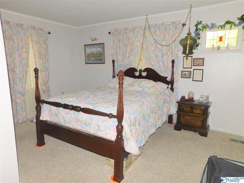 208 Mountain View Dr, Centre, AL 35960 photo 11