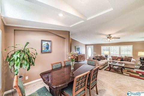 434 E Morrow Mountain Rd, Somerville, AL 35670 photo 10