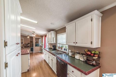 434 E Morrow Mountain Rd, Somerville, AL 35670 photo 13