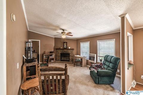 434 E Morrow Mountain Rd, Somerville, AL 35670 photo 17
