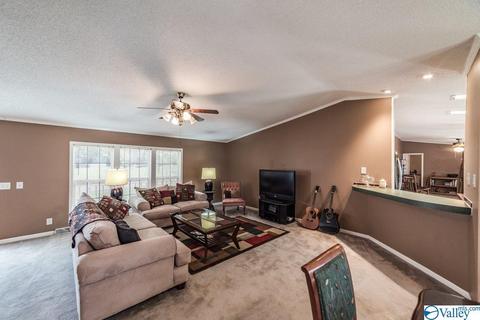 434 E Morrow Mountain Rd, Somerville, AL 35670 photo 8