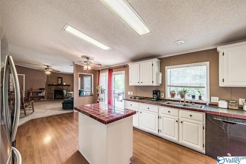 434 E Morrow Mountain Rd, Somerville, AL 35670 photo 12