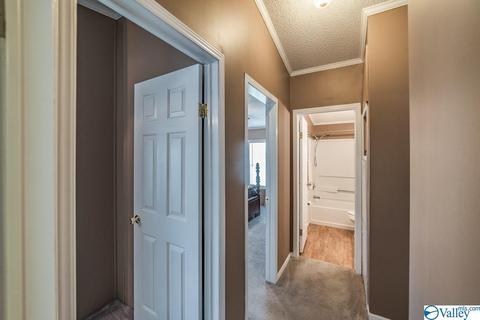 434 E Morrow Mountain Rd, Somerville, AL 35670 photo 35