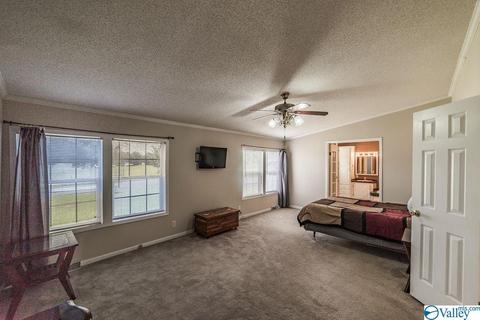 434 E Morrow Mountain Rd, Somerville, AL 35670 photo 20