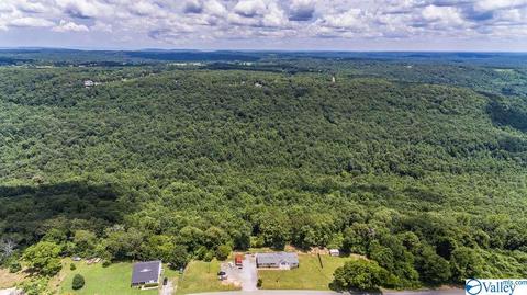 434 E Morrow Mountain Rd, Somerville, AL 35670 photo 42