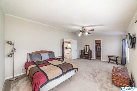 434 E Morrow Mountain Rd, Somerville, AL 35670 photo 22