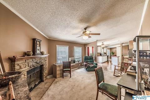 434 E Morrow Mountain Rd, Somerville, AL 35670 photo 19