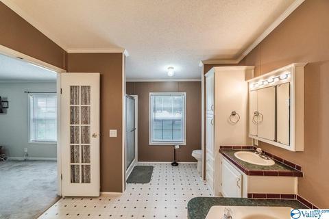 434 E Morrow Mountain Rd, Somerville, AL 35670 photo 24