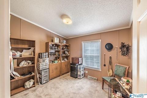 434 E Morrow Mountain Rd, Somerville, AL 35670 photo 33