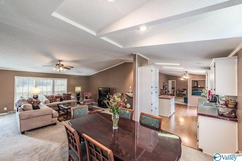 434 E Morrow Mountain Rd, Somerville, AL 35670 photo 11