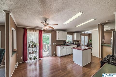 434 E Morrow Mountain Rd, Somerville, AL 35670 photo 16