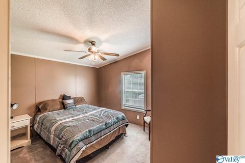 434 E Morrow Mountain Rd, Somerville, AL 35670 photo 31