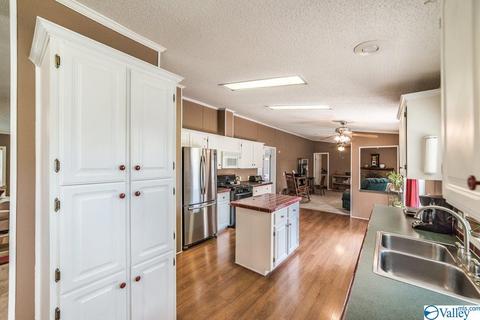 434 E Morrow Mountain Rd, Somerville, AL 35670 photo 14
