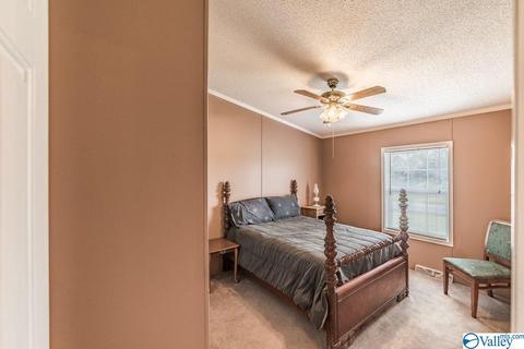 434 E Morrow Mountain Rd, Somerville, AL 35670 photo 28