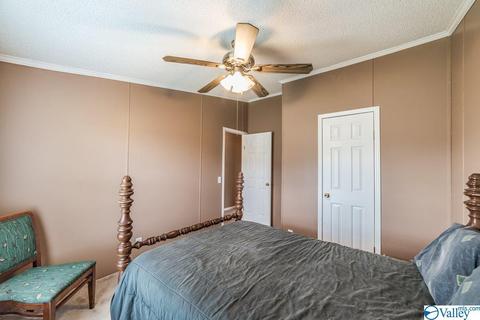 434 E Morrow Mountain Rd, Somerville, AL 35670 photo 30