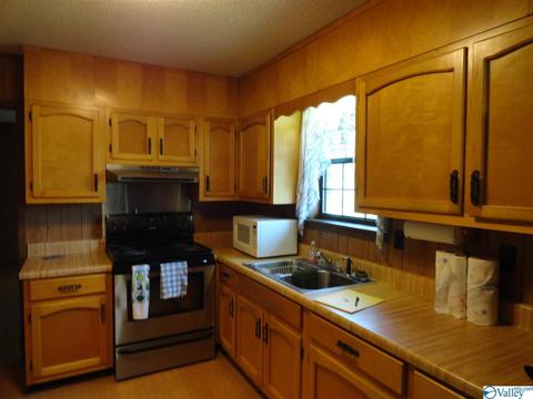 156 County Road 451, Dutton, AL 35744 photo 20