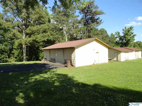 156 County Road 451, Dutton, AL 35744 photo 8