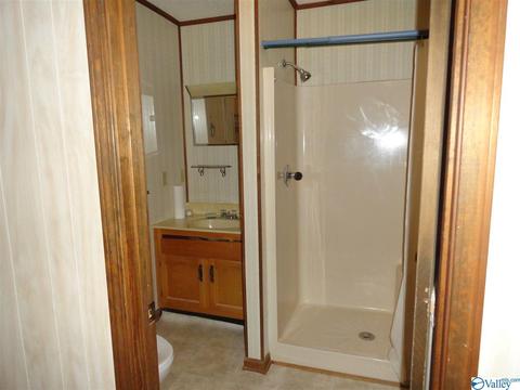 156 County Road 451, Dutton, AL 35744 photo 17