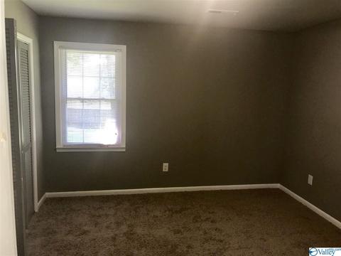 195 Dee Ann Rd, Trinity, AL 35673 photo 12