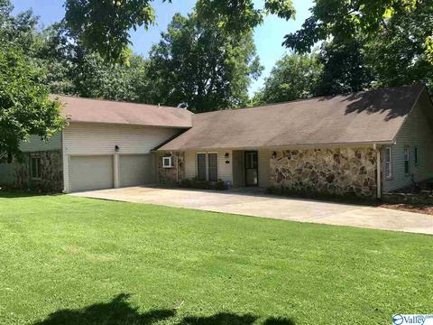 195 Dee Ann Rd, Trinity, AL 35673 photo 1