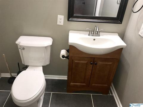 195 Dee Ann Rd, Trinity, AL 35673 photo 5