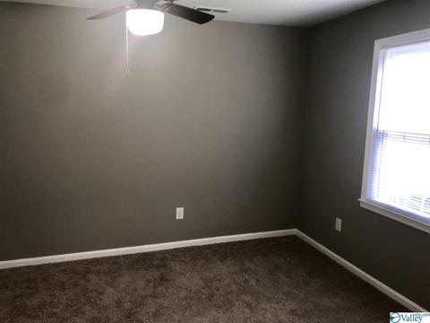 195 Dee Ann Rd, Trinity, AL 35673 photo 14