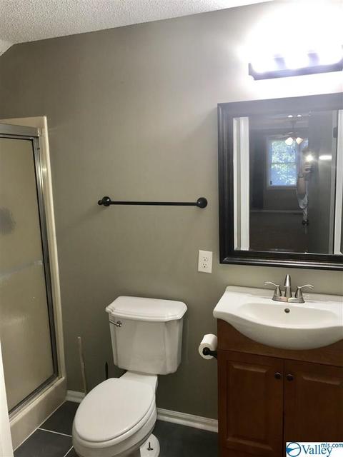 195 Dee Ann Rd, Trinity, AL 35673 photo 4