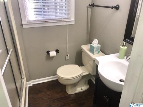 195 Dee Ann Rd, Trinity, AL 35673 photo 13
