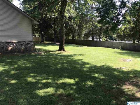 195 Dee Ann Rd, Trinity, AL 35673 photo 15