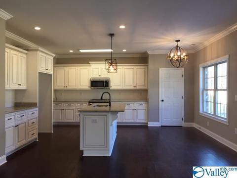 4304 Ruby Pointe Dr, Decatur, AL 35603 photo 5