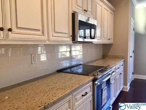 4304 Ruby Pointe Dr, Decatur, AL 35603 photo 7