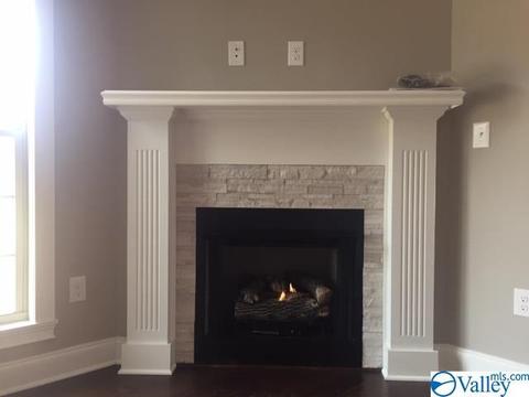 4304 Ruby Pointe Dr, Decatur, AL 35603 photo 4