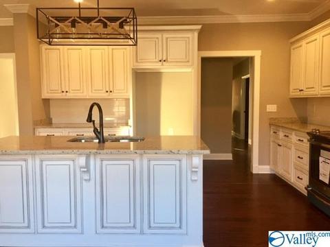 4304 Ruby Pointe Dr, Decatur, AL 35603 photo 6