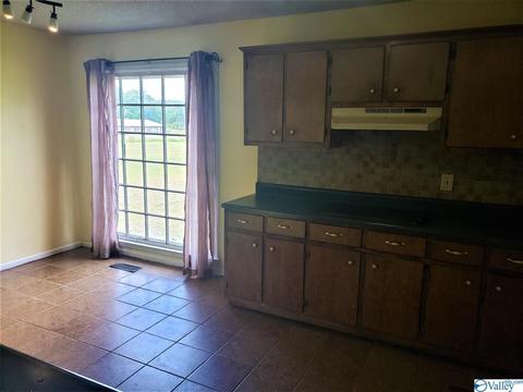 3581 County Road 217, Trinity, AL 35673 photo 33