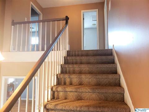 3581 County Road 217, Trinity, AL 35673 photo 27