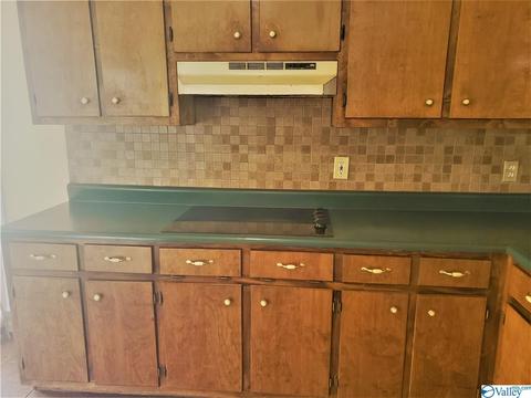 3581 County Road 217, Trinity, AL 35673 photo 32