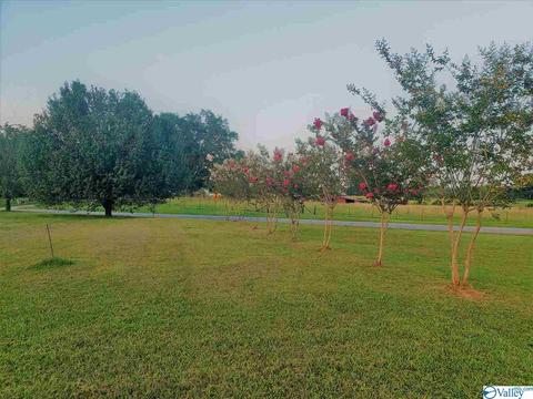 3581 County Road 217, Trinity, AL 35673 photo 7