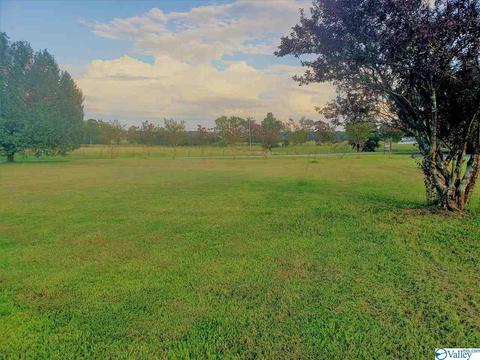 3581 County Road 217, Trinity, AL 35673 photo 8