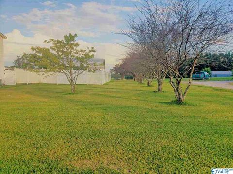 3581 County Road 217, Trinity, AL 35673 photo 11