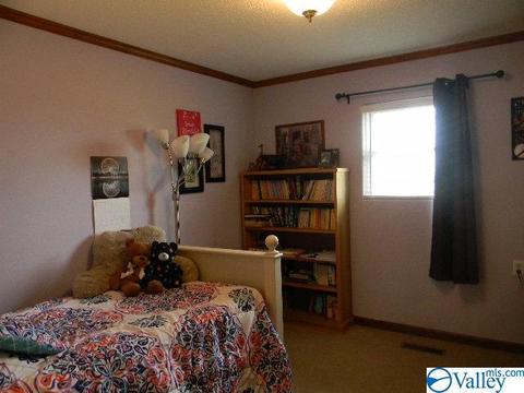 2205 Eva Rd, Eva, AL 35621 photo 31