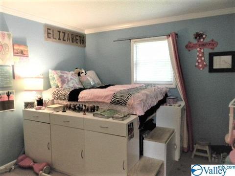 2205 Eva Rd, Eva, AL 35621 photo 28